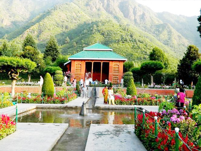 blog image